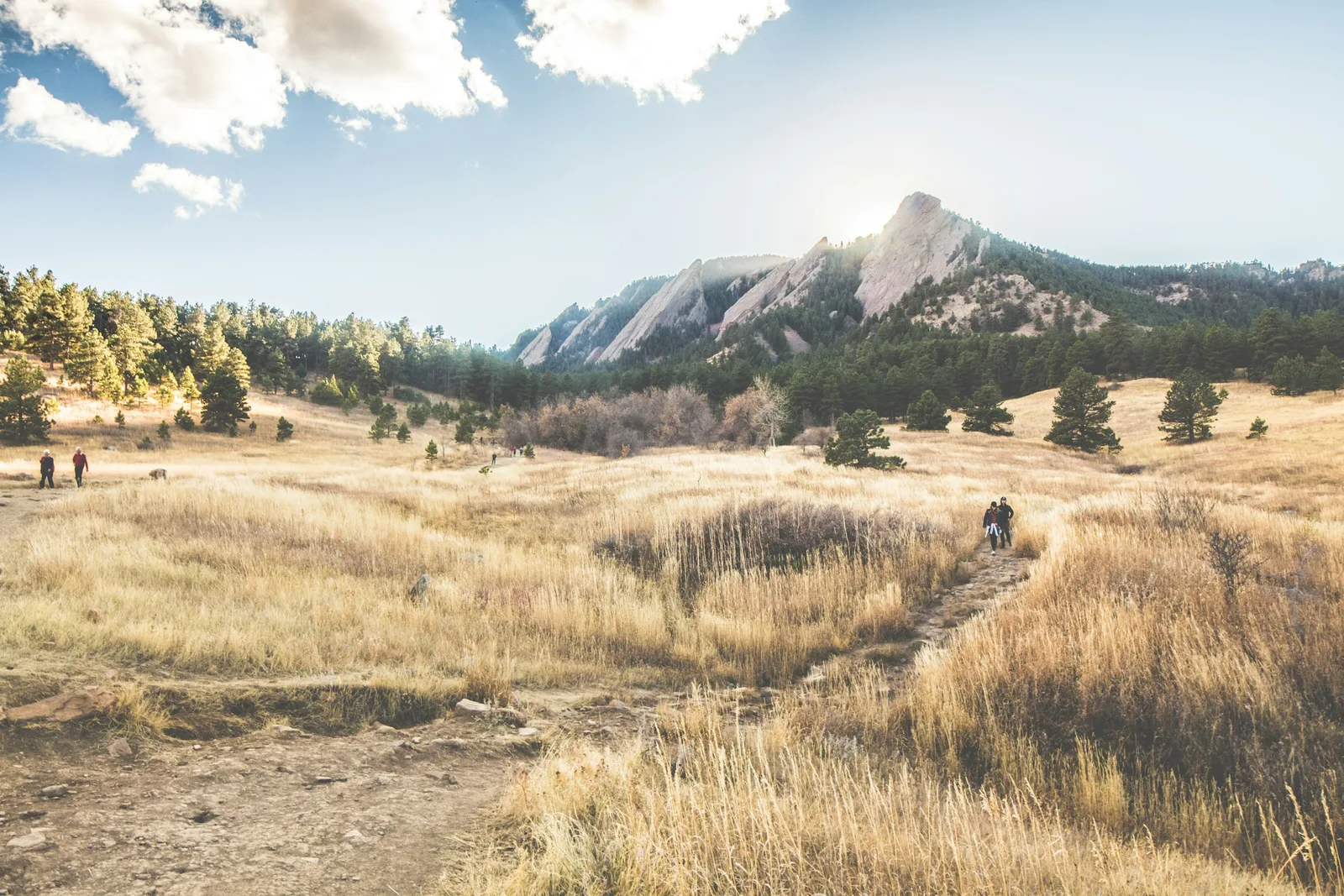 A quiet trail across golden grass beneath the Flatirons in Boulder County.